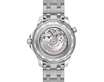 Seamaster Diver 300M – 42mm Steel on Steel | Premium Men's Dive Watch